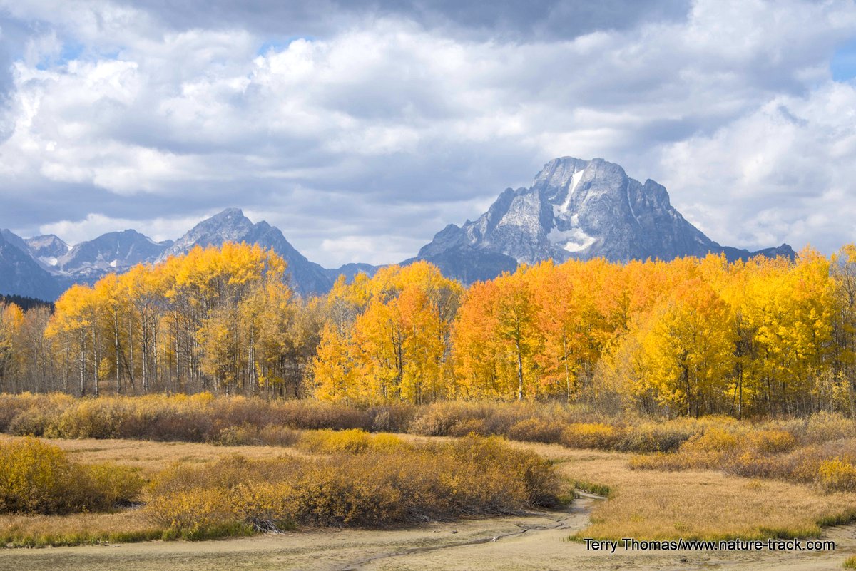 oxbow bend in autumn