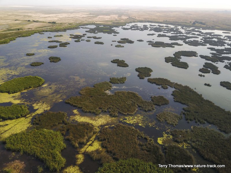 Mud Lake aerial