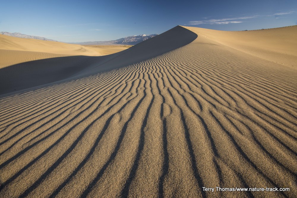 Sand dune